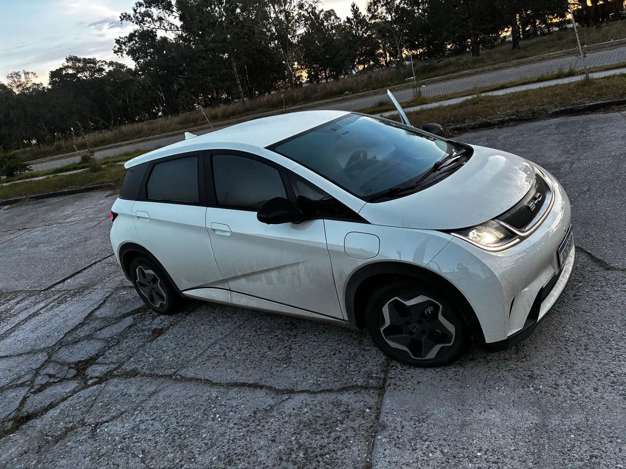 BYD Dolphin 2024
