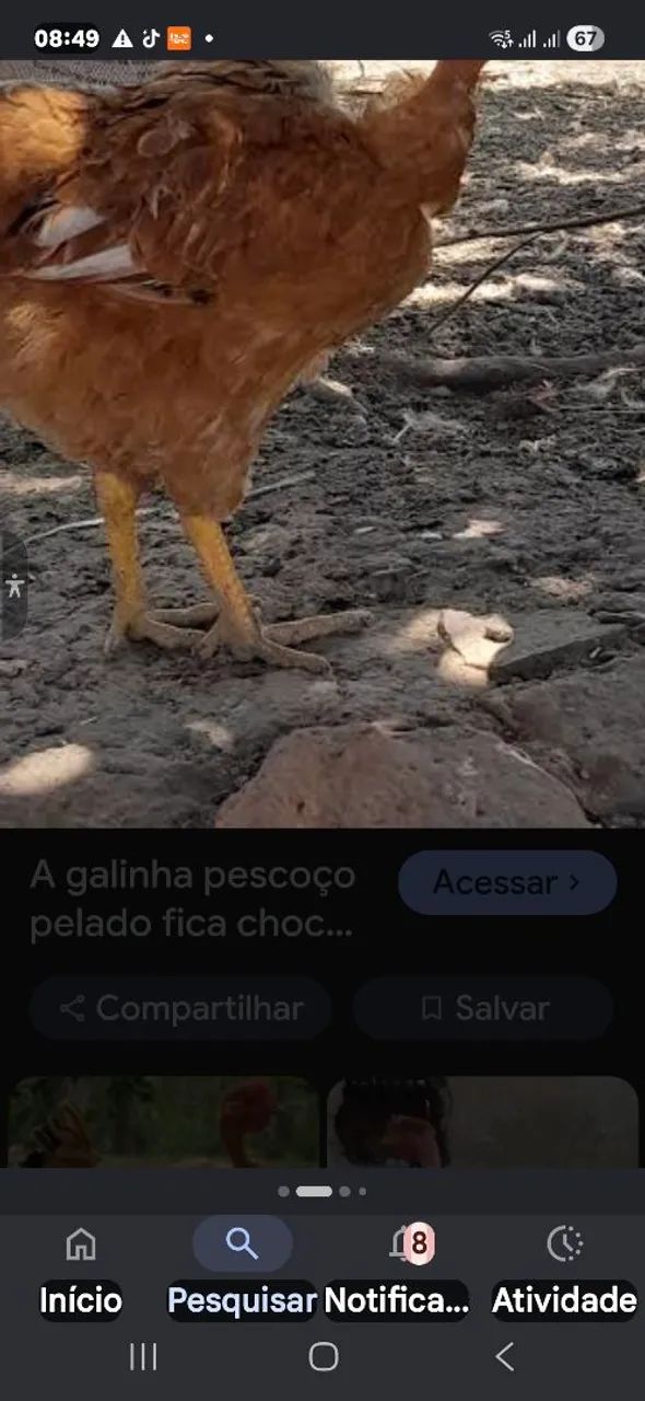 Venda - Foto 2