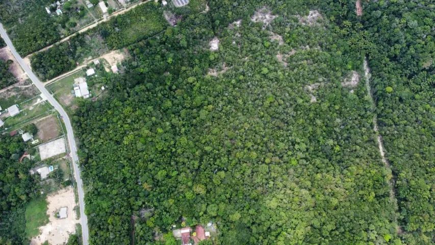 Vendo Terreno na BR-174 - Km 2 - Manaus/AM - Foto 8