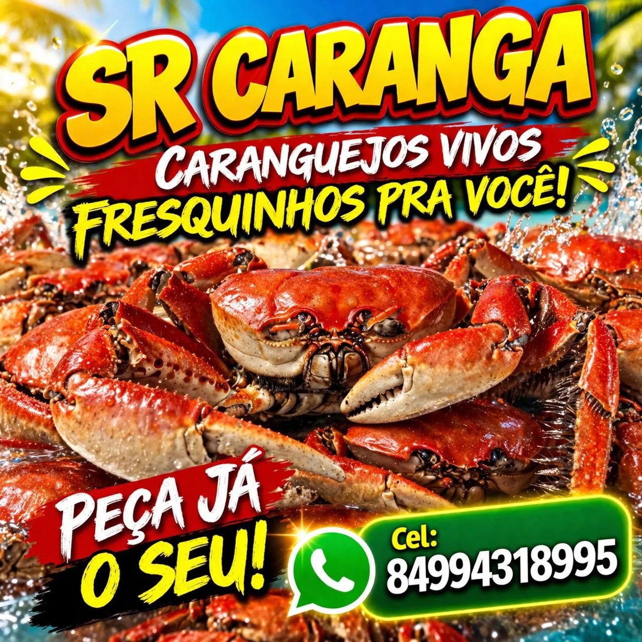 Caranquejos vivos 