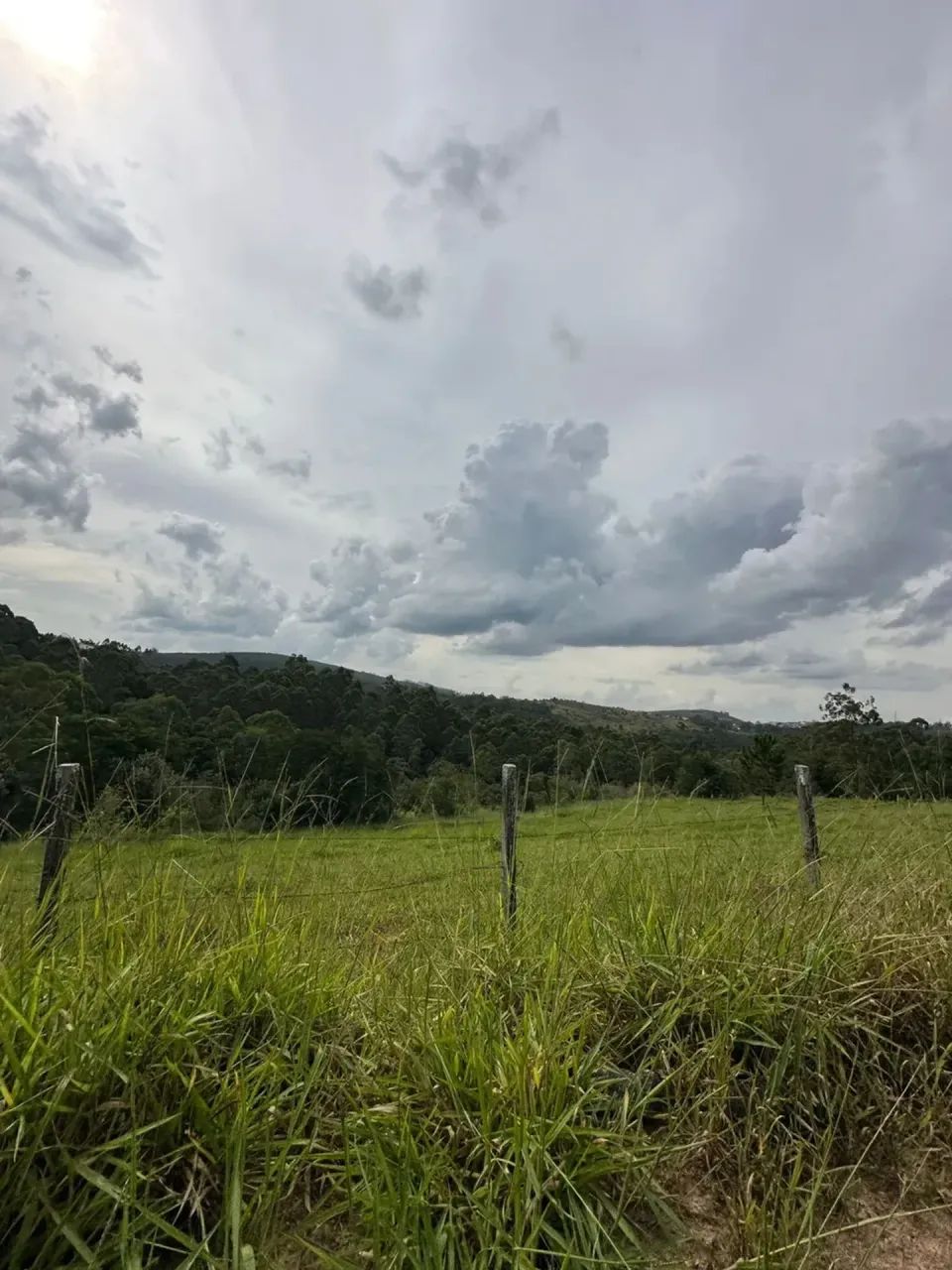 Lotes com Nascente Natural | Um Diferencial Raro - Foto 4