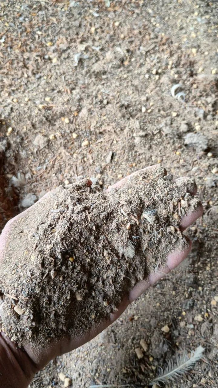 Adubo cama de frango /GRANEL   - Foto 2