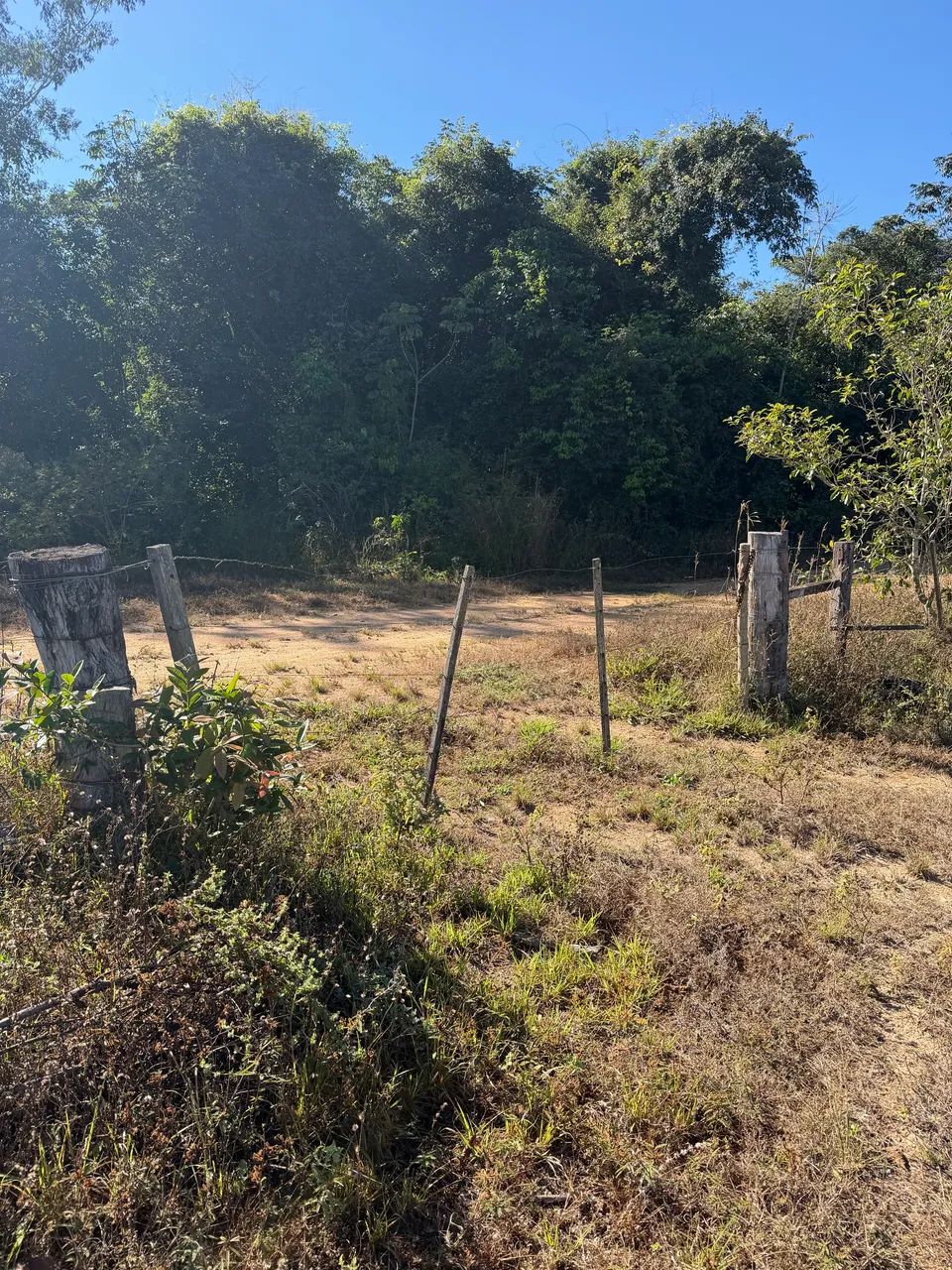 Vendo chácara 4 hectares, próximo a Primavera do Leste. - Foto 2