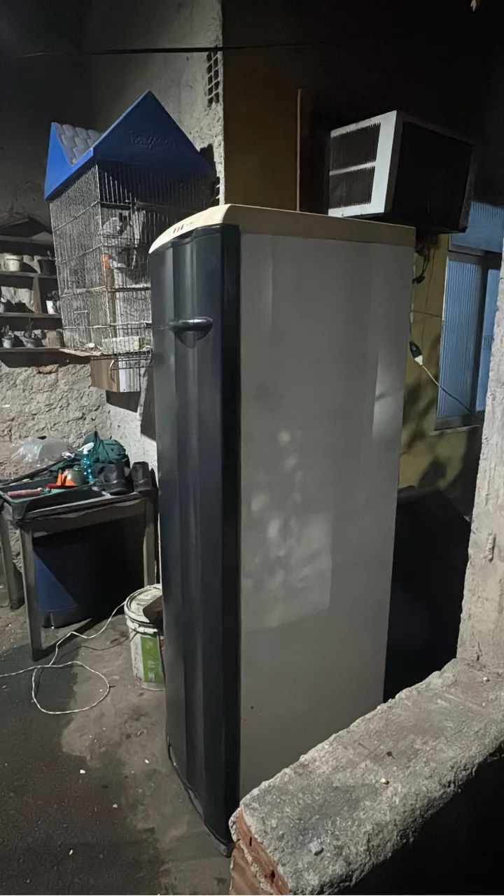 FREEZER ELECTROLUX 