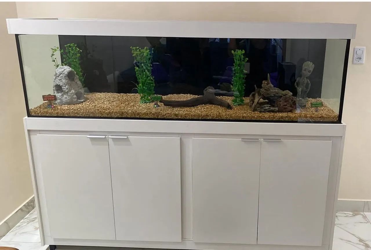 Aquario para venda 