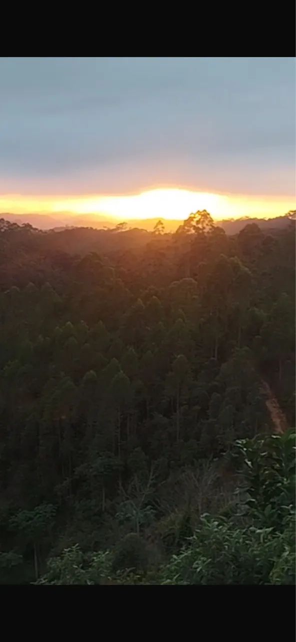 Foto - Vila Velha - Santos Dumont