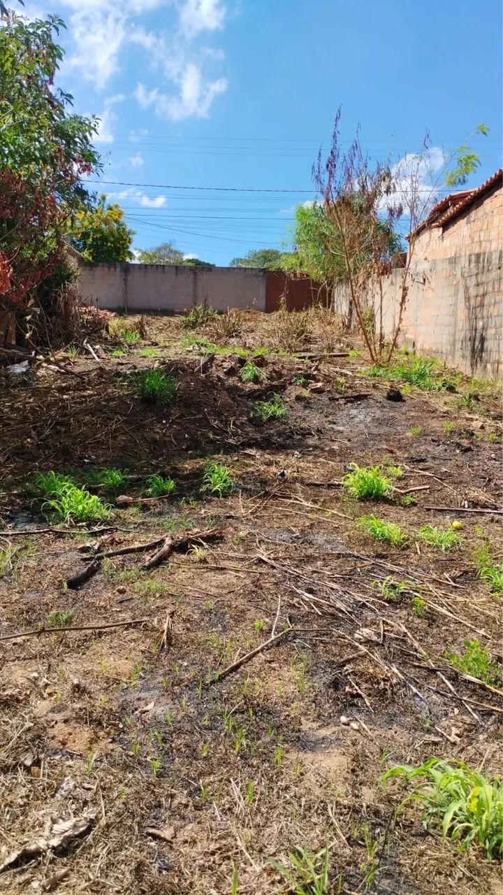 Lote - Juatuba  - Foto 5