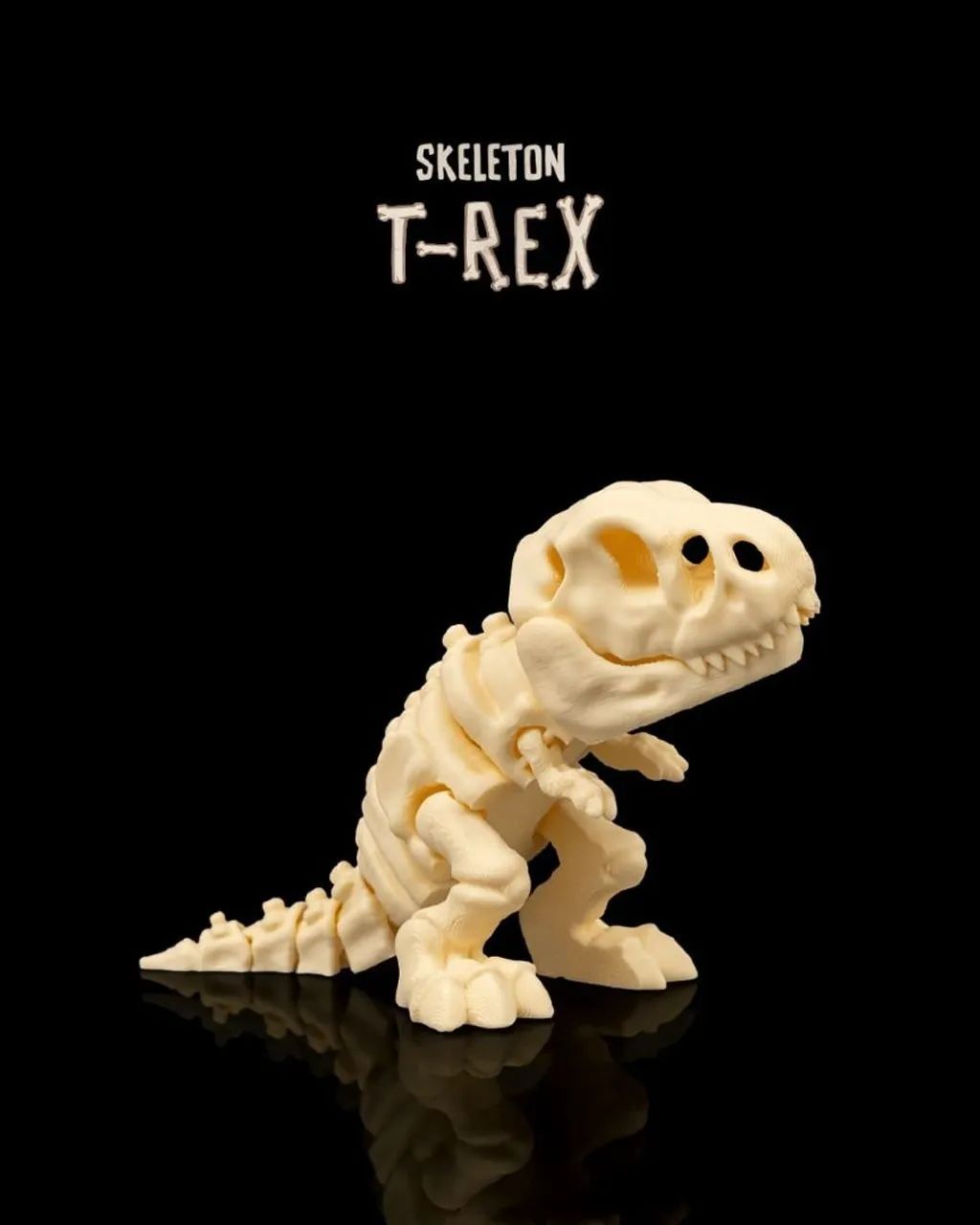  6 Peças ESQUELETOS DE DINOSSAUROS 3D