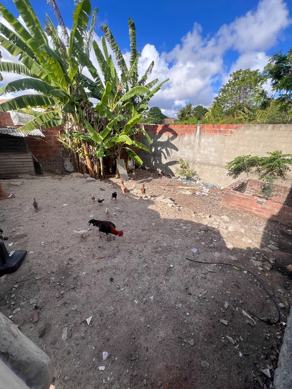 Terreno MURIBECA  - Foto 2