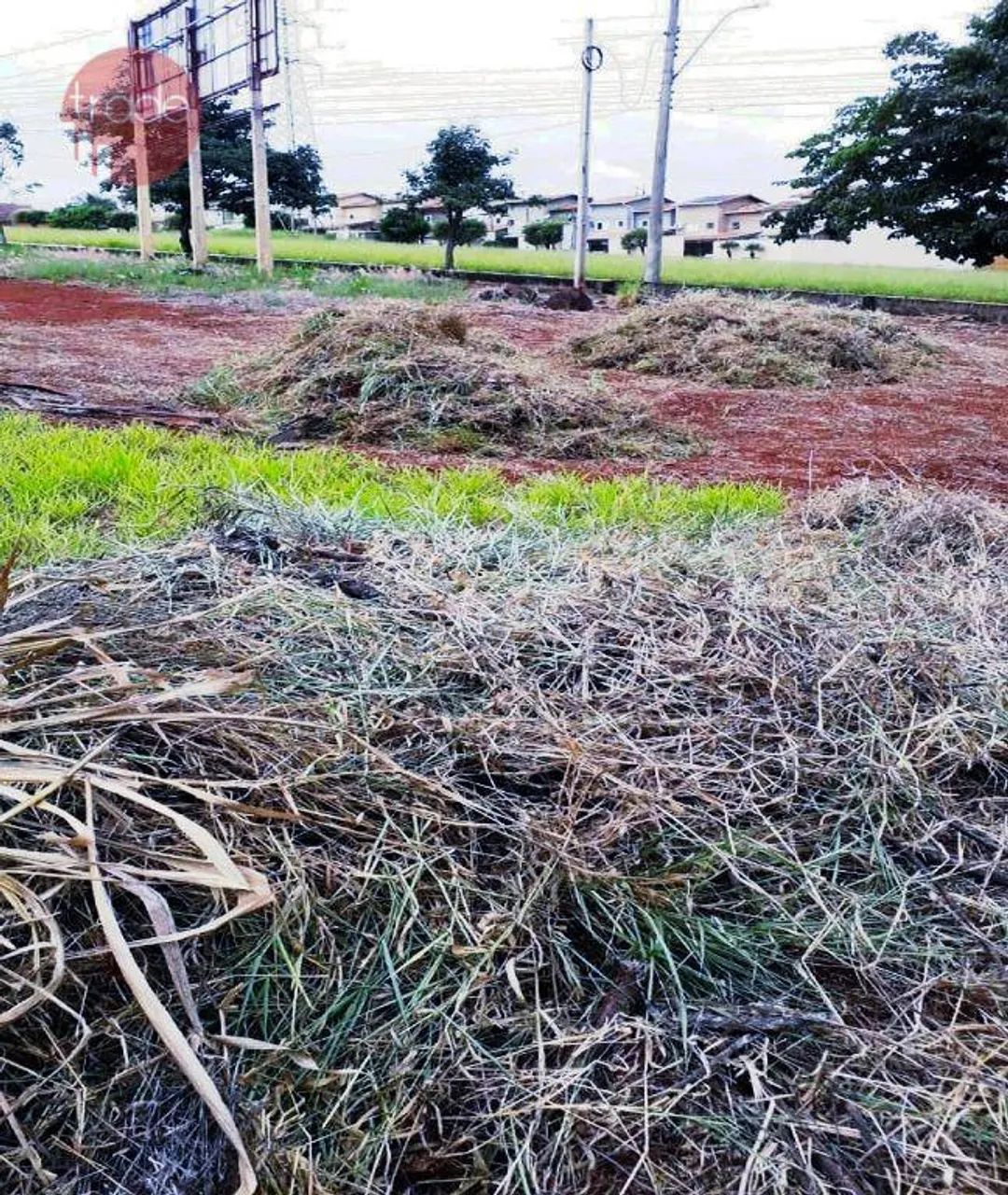Terreno para alugar, 552 m² por R$ 5.600,00/mês - Jardim Botânico - Ribeirão Preto/SP - Foto 3