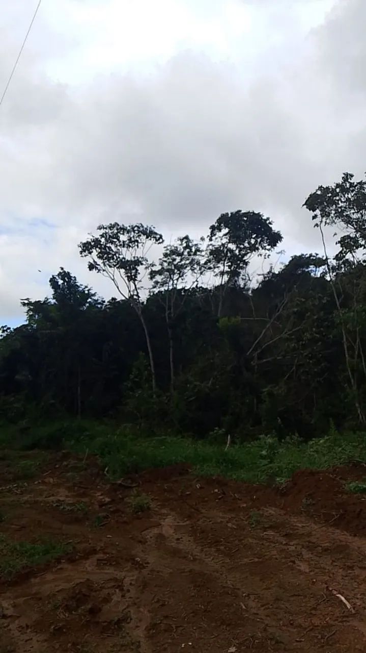 4 e quitaria e meia 