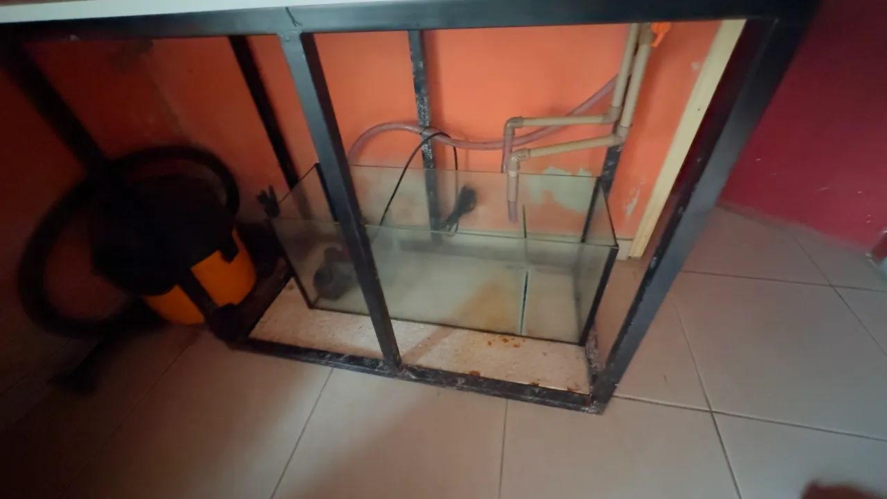 Aquário  - Foto 4