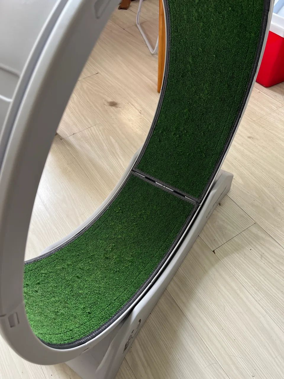 Roda para gatos correr