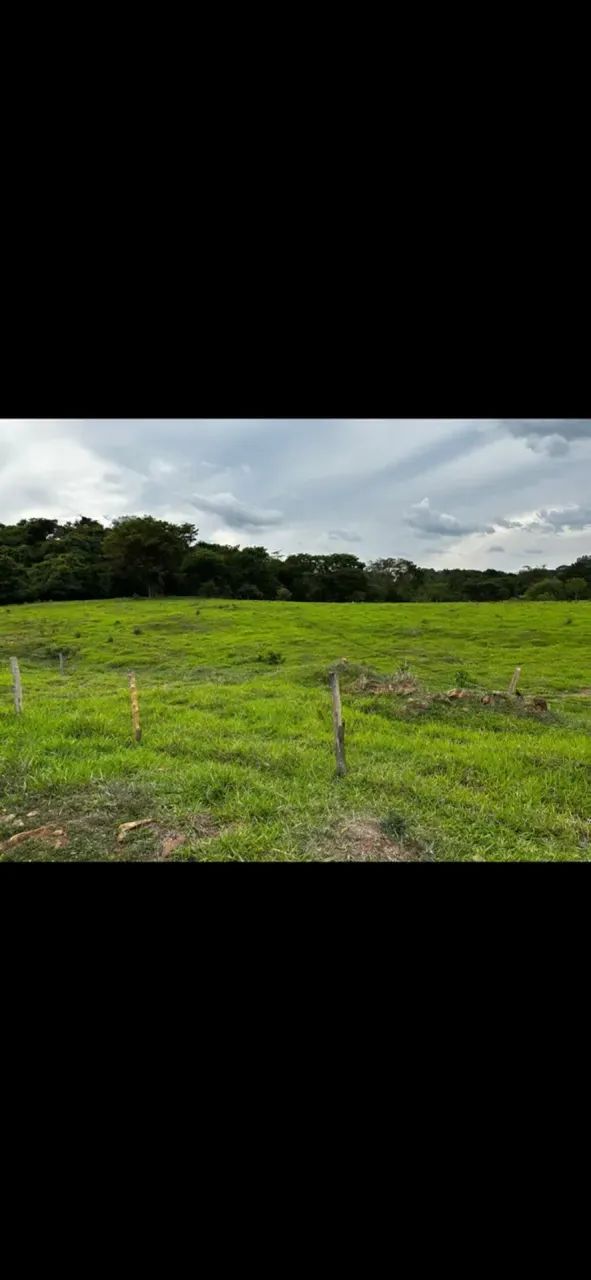 Chácara 18 alqueires Goianápolis oportunidade
