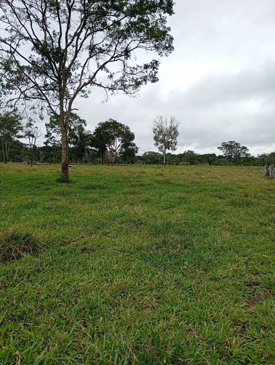 Não tem  - Foto 2