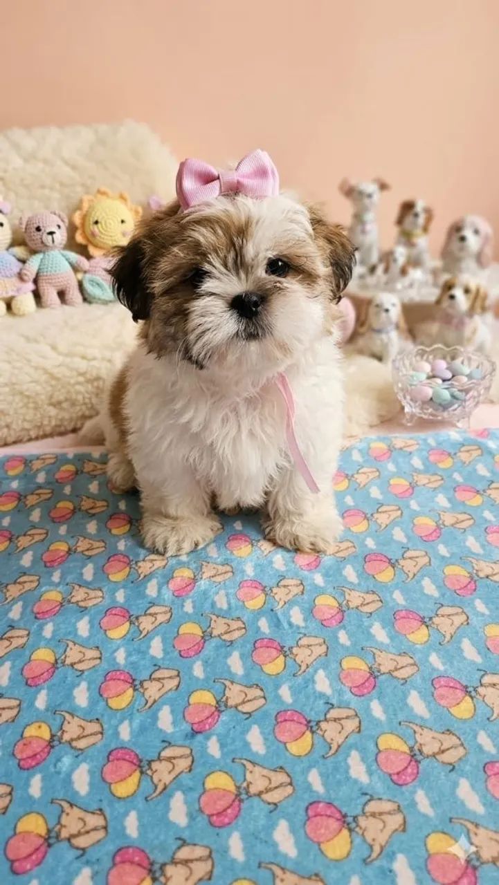 Baby Pets Baby
