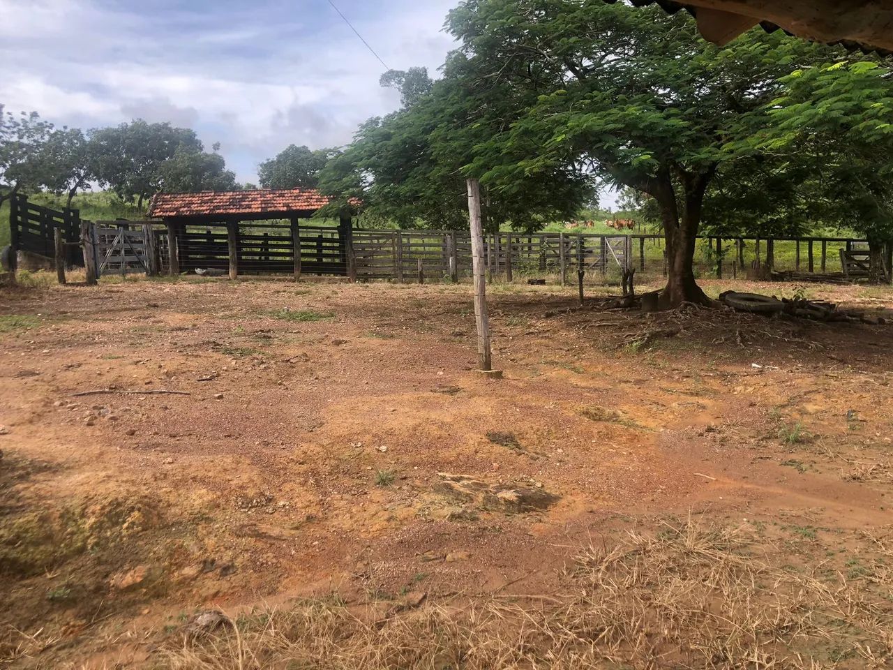 Vendo Fazenda de 26 Alqueires 02 Rios terra de Cultural, Mimoso Goiás. - Foto 3