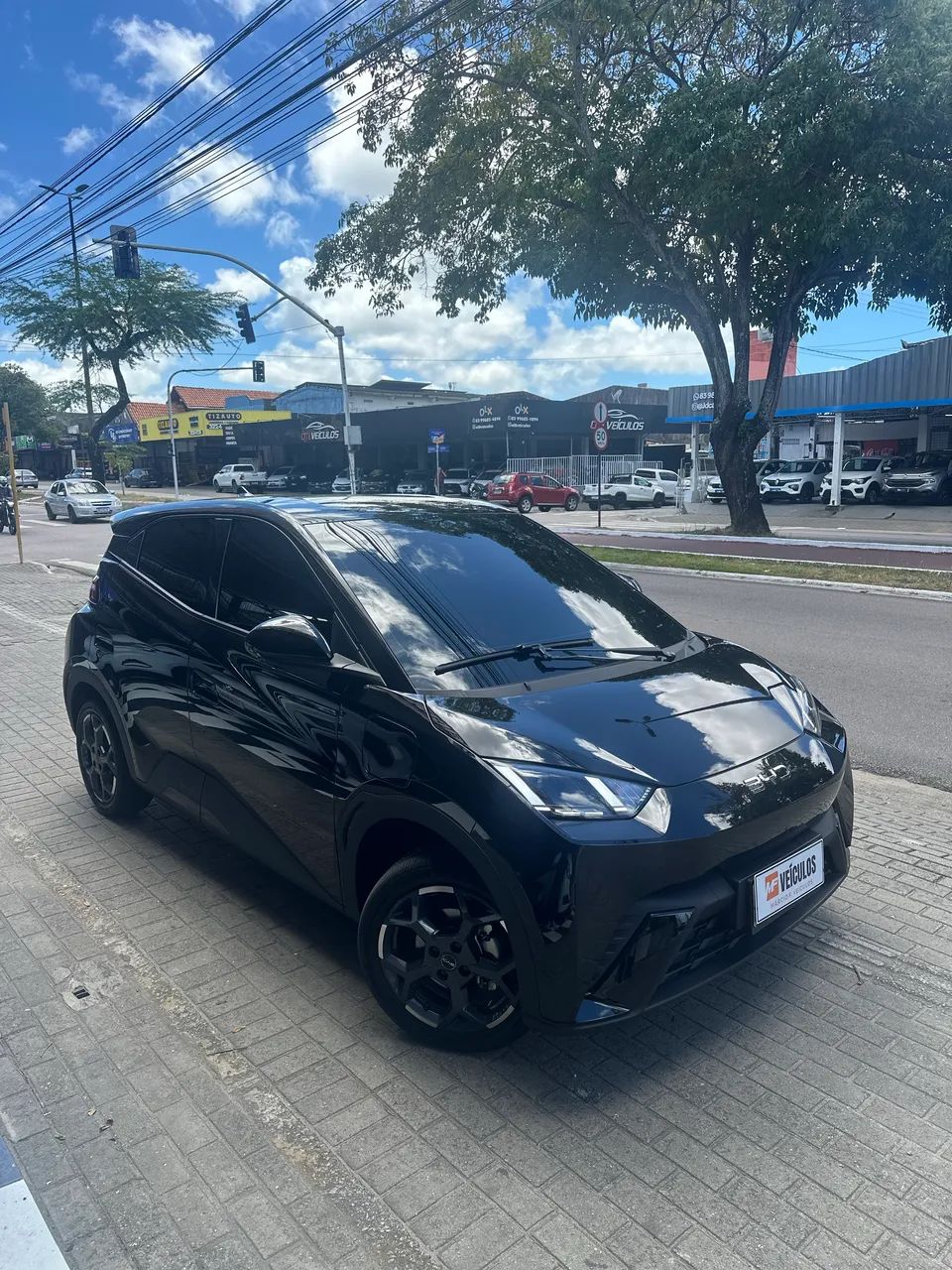 BYD Dolphin Mini (Elétrico) 2027 - Foto 2