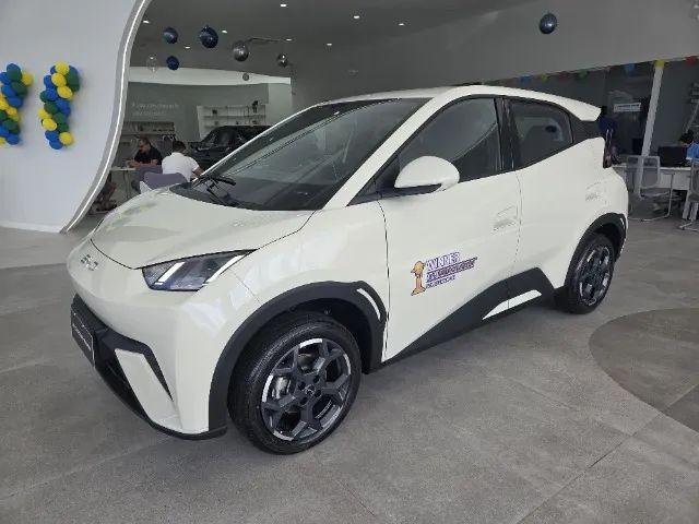 BYD Dolphin Mini (Elétrico) 2027