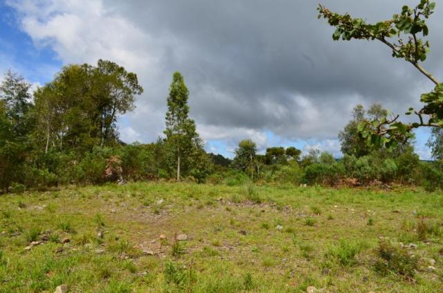 Terreno residencial à venda, vista do vale, canela. - Foto 6