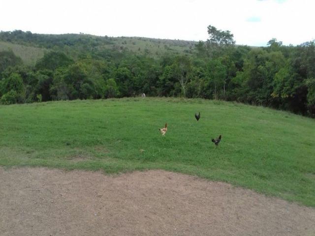 Santo Antônio do Descoberto - GO - Foto 3