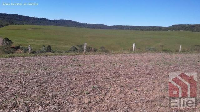 Fazenda para Plantio e Pastagem em Santa Terezinha - Foto 9