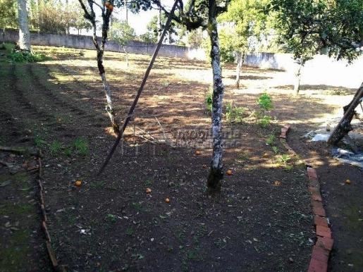 TERRENO no bairro São Braz - 19 - Foto 3