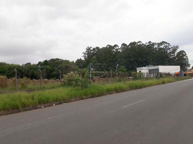 Terreno à venda em Distrito industrial, Cachoeirinha cod:2575 - Foto 4