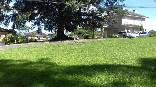 Terreno à venda em Jansen, Gravataí cod:2624 - Foto 3