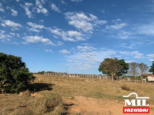 4 km de margens do Rio Araguaia. Fazenda 96 alqueires 464.64 Hectares - Aragarças-GO - Foto 19