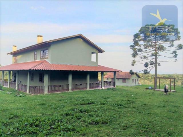 Ch0181 são josé dos pinhais chácara 4 alq. plana 950 m² construído 33 km ctba