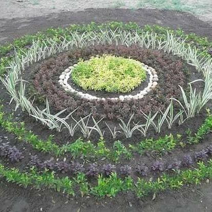 Otimize paisagismo e jardinagem - Foto 5