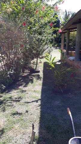 Um sítio para o seu lazer - Foto 20