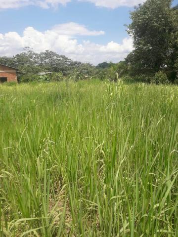Terreno Bom e barato - Foto 3