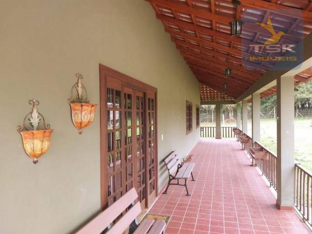 Ch0181 são josé dos pinhais chácara 4 alq. plana 950 m² construído 33 km ctba - Foto 4