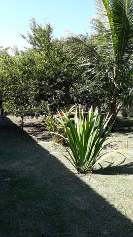 Um sítio para o seu lazer - Foto 11