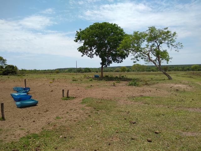 Fazenda - Foto 2