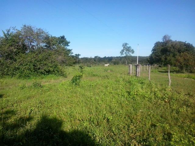 Fazenda georreferenciada 2600 hect Bonito de Minas, MG - Foto 4