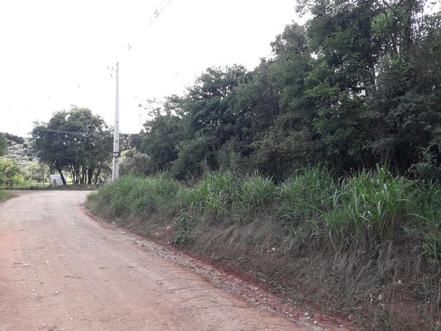 Chácara com 2 alqueires Barra santa rita/Campo magro - Foto 13