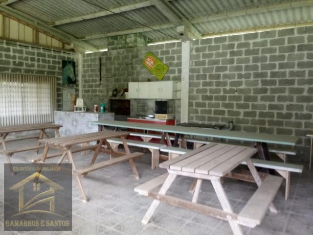 Aluga-se chácara com 18 alqueires com casa e estrutura para criação de gado - Foto 18