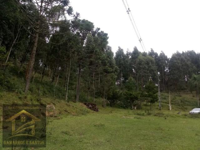 Aluga-se chácara com 18 alqueires com casa e estrutura para criação de gado - Foto 9