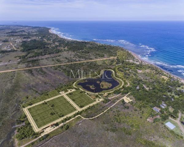 Terreno à venda em Taipu de fora, Maraú cod:57863649 - Foto 10