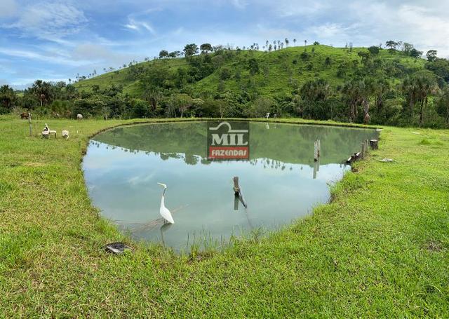 Linda Chácara 1.65 Alqueires ( 8 hectares ) Bela Vista de Goiás; - Foto 6