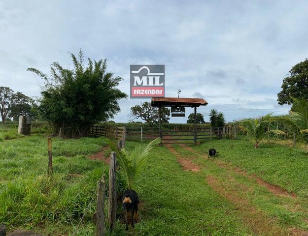 Linda Chácara 1.65 Alqueires ( 8 hectares ) Bela Vista de Goiás; - Foto 12