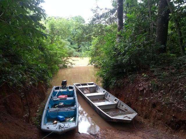Vende - se chácara município de Cezarina na Beira do Rio dos bois - Foto 5