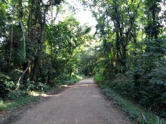 Terreno medindo 17 mil metros com rio e documentação - Foto 7