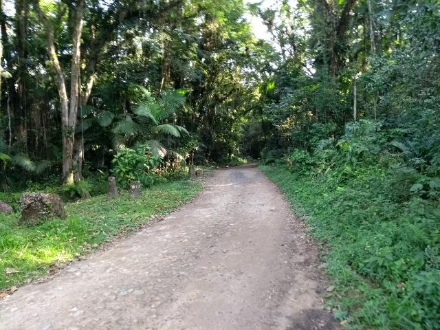 Terreno medindo 17 mil metros com rio e documentação - Foto 18