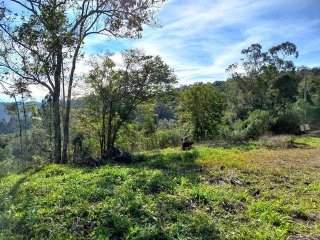 ANITÁPOLIS/SC - Belíssimo terreno com 3hectares  - Foto 4