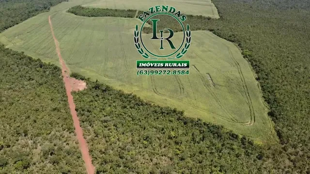 Fazenda 210 Alqueires Agricultável Proximo Palmas