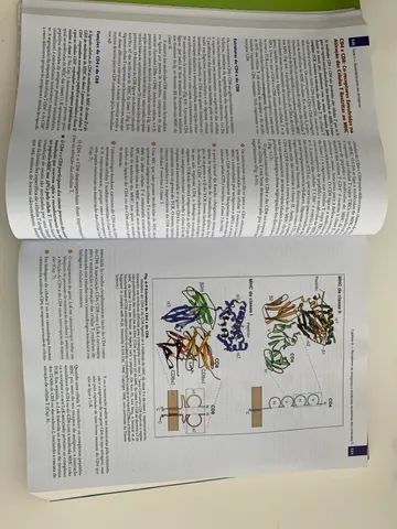 Imunologia Celular E Molecular - Abbas 5 edição  - Foto 2